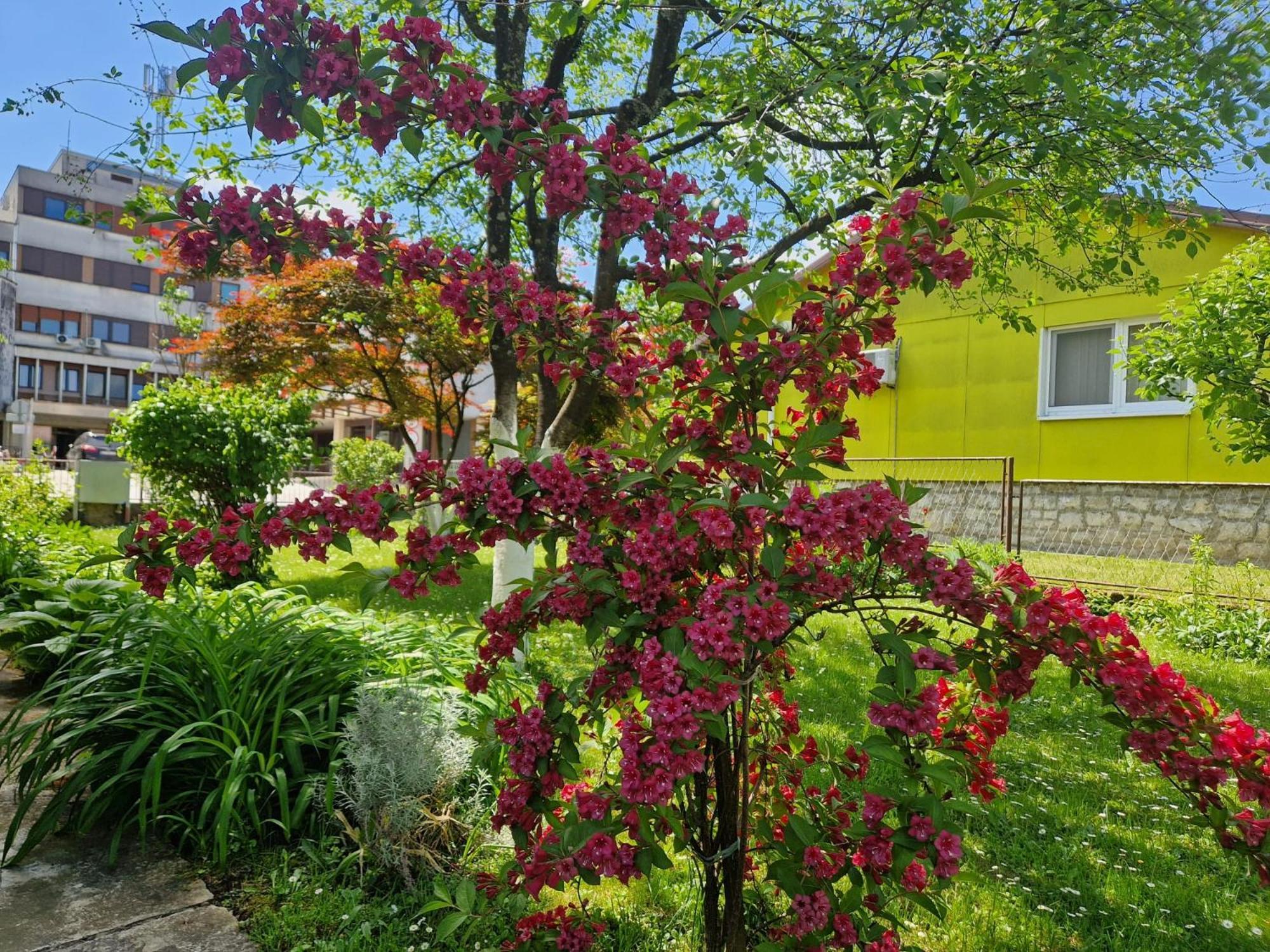 Studio Apartman Marica - Ogulin, Hrvatska Kültér fotó